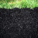 black-mulch